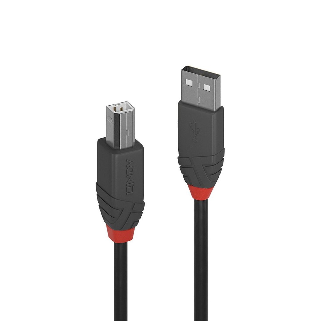 C ble USB 2.0 type A vers B, Anthra Line, 5m